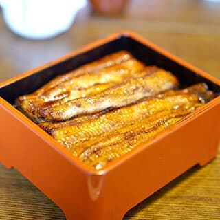 Eel/Conger eel